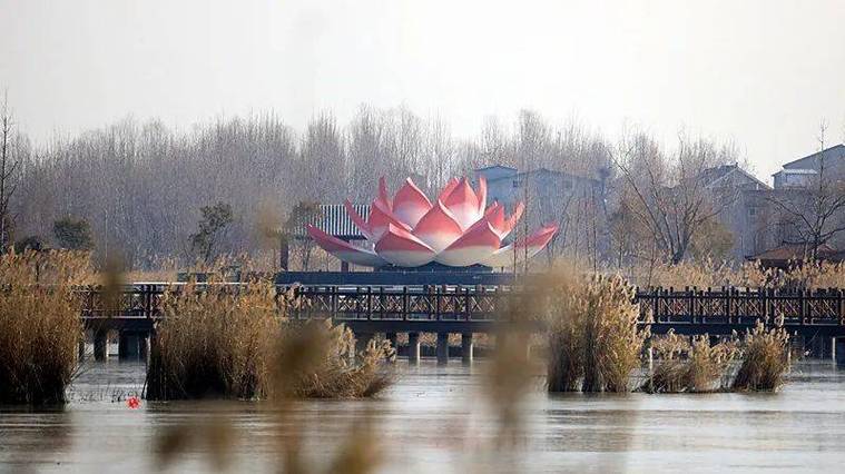 周口淮阳龙湖湿地生态修复工程完工 湖区生物多样性恢复成效显著